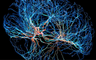 NeuroSpread